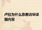 卢拉为什么急着访华详细内容