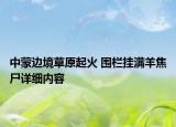中蒙边境草原起火 围栏挂满羊焦尸详细内容