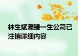 林生斌潼臻一生公司已注销详细内容