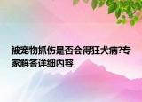 被宠物抓伤是否会得狂犬病?专家解答详细内容