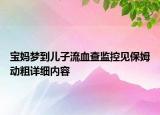 宝妈梦到儿子流血查监控见保姆动粗详细内容