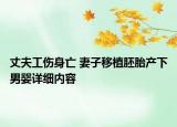 丈夫工伤身亡 妻子移植胚胎产下男婴详细内容