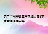 男子广州街头驾宝马撞人致5死获死刑详细内容