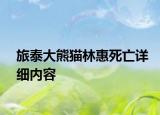 旅泰大熊猫林惠死亡详细内容