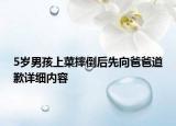 5岁男孩上菜摔倒后先向爸爸道歉详细内容