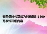 泰国保险公司将为熊猫赔付1500万泰铢详细内容