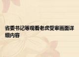 省委书记等观看老虎受审画面详细内容
