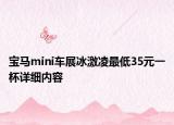 宝马mini车展冰激凌最低35元一杯详细内容