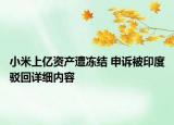 小米上亿资产遭冻结 申诉被印度驳回详细内容