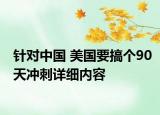 针对中国 美国要搞个90天冲刺详细内容