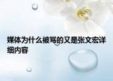 媒体为什么被骂的又是张文宏详细内容