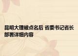 昆明大理被点名后 省委书记省长部署详细内容