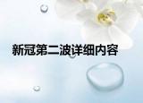 新冠第二波详细内容