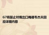 G7将禁止对俄出口梅德韦杰夫回应详细内容
