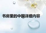 书房里的中国详细内容