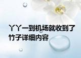丫丫一到机场就收到了竹子详细内容