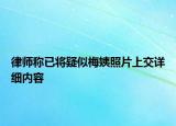 律师称已将疑似梅姨照片上交详细内容