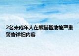 2名未成年人在熊猫基地被严重警告详细内容