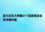 官方证实大熊猫小丫因尿毒症去世详细内容