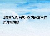 2乘客飞机上起冲突 万米高空打架详细内容