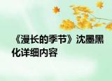 《漫长的季节》沈墨黑化详细内容