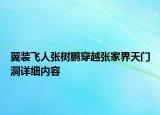翼装飞人张树鹏穿越张家界天门洞详细内容