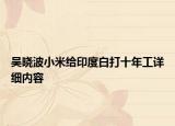 吴晓波小米给印度白打十年工详细内容
