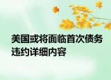 美国或将面临首次债务违约详细内容