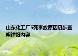 山东化工厂5死事故原因初步查明详细内容