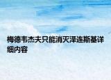 梅德韦杰夫只能消灭泽连斯基详细内容