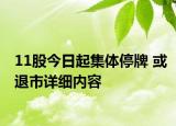 11股今日起集体停牌 或退市详细内容