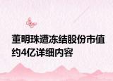 董明珠遭冻结股份市值约4亿详细内容