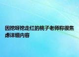因挖呀挖走红的桃子老师称很焦虑详细内容