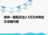 郑州一医院开出2.3万元中药处方详细内容