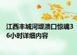 江西丰城河堤溃口惊魂36小时详细内容