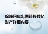 徐峥回应出国转移数亿财产详细内容
