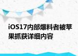 iOS17内部爆料者被苹果抓获详细内容