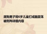 遛狗男子将6岁儿童打成脑震荡被刑拘详细内容
