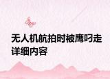 无人机航拍时被鹰叼走详细内容