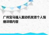 广州宝马撞人案动机发泄个人情绪详细内容