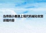 当传统小麦遇上现代机械化收割详细内容