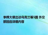 李辉大使出访乌克兰等5国 外交部回应详细内容