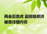 两会后首虎 副部级郑洪被查详细内容