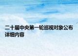 二十届中央第一轮巡视对象公布详细内容