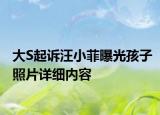大S起诉汪小菲曝光孩子照片详细内容