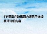 4岁男童在游乐园内遭男子连续暴摔详细内容