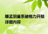 曝孟羽童系被格力开除详细内容
