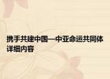 携手共建中国—中亚命运共同体详细内容