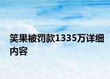 笑果被罚款1335万详细内容