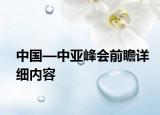 中国—中亚峰会前瞻详细内容